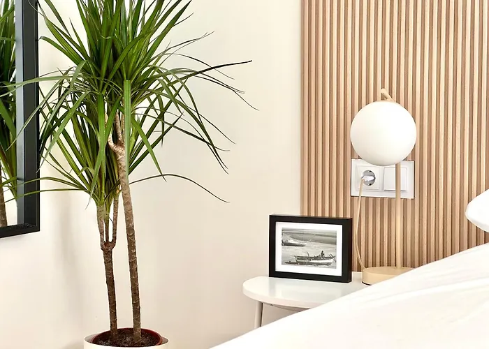 Faros Da Ria Apartamentos, By Garcies Riobo